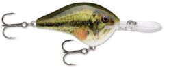 Rapala DT Series Crankbait DT14 -Sport Fishing Shop Live Largemouth Bass e41a2a50 910d 4609 ac40 3bc3d77b1c5d
