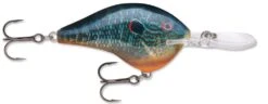Rapala DT Series Crankbait DT14 -Sport Fishing Shop Live Pumkinseed 552b3c5e d89f 421f bb94 4b20f67dd065