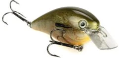 Strike King KVD Magnum Square Bill 8.0 Silent Crankbaits -Sport Fishing Shop Orange Bream 8d82629c 742b 46f0 8fc2 0fe360b975f3