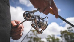 Daiwa Procyon MQ LT Spinning Reel -Sport Fishing Shop Procyon1Spot