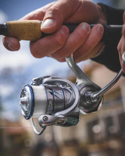 Daiwa Procyon MQ LT Spinning Reel -Sport Fishing Shop Procyon5Spot