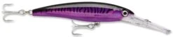 Rapala X-Rap Magnum 15 Big Game Slash Bait -Sport Fishing Shop Purple Mackerel d00f71db 7f8d 4089 b329 a26b6673365f