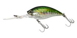 Yo-Zuri 3DB Deep Crank 2 3/4 Inch Deep Diving Crankbait -Sport Fishing Shop R1108 PBB e6dbabfc 2984 466f 8edc 5c23f0600bf5