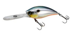 Yo-Zuri 3DB Deep Crank 2 3/4 Inch Deep Diving Crankbait -Sport Fishing Shop R1108 SBL 6525ca93 428a 4281 81d1 6067188a015b