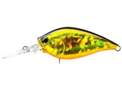 Hardcore Crank MR 60F Medium Crankbait 17 Hardcore Crank MR 60F Medium Crankbait -Sport Fishing Shop R1364 HGSN