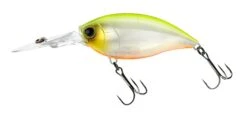 Hardcore Crank 70F 3+ Deep Diving Crankbait -Sport Fishing Shop R1376 CRANK 3 70F GPCL