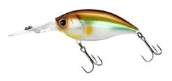 Hardcore Crank 70F 3+ Deep Diving Crankbait -Sport Fishing Shop R1376 CRANK 3 70F MGSA 1