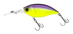 Hardcore Crank 70F 3+ Deep Diving Crankbait -Sport Fishing Shop R1376 CRANK 3 70F PUCL
