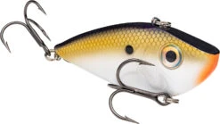 Strike King Red Eyed Shad 1/4 Oz. Lipless Crankbait 39 Strike King Red Eyed Shad 1/4 Oz. Lipless Crankbait -Sport Fishing Shop REYESD 469 cd483583 1b8c 46b7 8df0 d68a31224203
