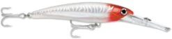 Rapala X-Rap Magnum 15 Big Game Slash Bait -Sport Fishing Shop Red Head UV 6509ec07 0002 489c ac9d e909309929c3
