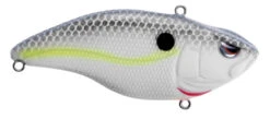 SPRO Aruku Shad Jr. Lipless Crankbait -Sport Fishing Shop SAS60NSD NastyShad