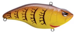 SPRO Aruku Shad Jr. Lipless Crankbait -Sport Fishing Shop SAS60SCW SpringCraw