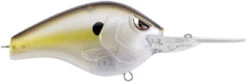 SPRO Fat Papa 70 Deep Diving Crankbait -Sport Fishing Shop SBD70CCH ClearChartreuse 5171d4df 30bf 4ac2 baa6 a3aa745cf620
