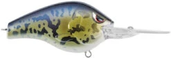 SPRO Fat Papa 70 Deep Diving Crankbait -Sport Fishing Shop SBD70GBY GOBY dd456962 fa34 4711 8dde 7ee06867a9f7