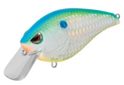 SPRO Hunter 65 SB Shallow Squarebill Crankbait 37 SPRO Hunter 65 SB Shallow Squarebill Crankbait -Sport Fishing Shop SEHTRSB65CSD CitrusShad b04981bd 884e 4dd4 ac9c 6eed21094869