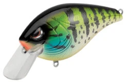 SPRO Hunter 65 SB Shallow Squarebill Crankbait 30 SPRO Hunter 65 SB Shallow Squarebill Crankbait -Sport Fishing Shop SEHTRSB65PPS PumpkinSeed