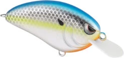 SPRO John Crews Little John 50 Shallow Crankbait -Sport Fishing Shop SLJ50MSC MatteSexyChrome db47ff26 e4ba 4c97 bcd6 08297c66169f