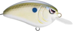 SPRO John Crews Little John 50 Shallow Crankbait -Sport Fishing Shop SLJ50NHR NaturalHerring 6a89d065 88b6 407e 8b92 c6a9b8bc93d3