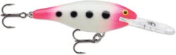 Rapala Shad Rap 3 1/2 Inch Deep Diving Crankbait SR09 -Sport Fishing Shop SR09GPSQ 5bed2d28 c078 4539 a2b3 5b811263d2a8