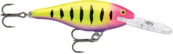 Rapala Shad Rap 3 1/2 Inch Deep Diving Crankbait SR09 -Sport Fishing Shop SR09HSP a8663c36 b877 4673 a7ed ec212164d064