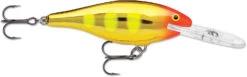 Rapala Shad Rap 3 1/2 Inch Deep Diving Crankbait SR09 -Sport Fishing Shop SR09JLC 7e12972b f866 4229 9a89 b199865c99e0