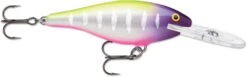 Rapala Shad Rap 3 1/2 Inch Deep Diving Crankbait SR09 -Sport Fishing Shop SR09MFT 5fc4da60 7876 4e78 9feb 272fe7730be6