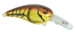 SPRO Mike McClelland RkCrawler MD 55 Medium Diving Crankbait -Sport Fishing Shop SRCMD55MCW 2