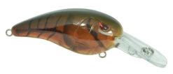 SPRO Mike McClelland RkCrawler MD 55 Medium Diving Crankbait -Sport Fishing Shop SRCMD55PBR 2