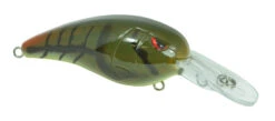 SPRO Mike McClelland RkCrawler MD 55 Medium Diving Crankbait -Sport Fishing Shop SRCMD55PGR 2