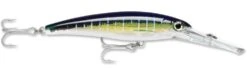 Rapala X-Rap Magnum 30 Big Game Slash Bait -Sport Fishing Shop Sailfish UV 3caf68d5 73bf 4ed7 9ba6 de0b7aced252