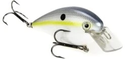 Strike King KVD Magnum Square Bill 8.0 Silent Crankbaits -Sport Fishing Shop Sexy Shad 0041dfdf 88fb 4bd2 98bd dfa6f2506377