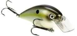 Strike King KVD Magnum Square Bill 8.0 Silent Crankbaits -Sport Fishing Shop Summer Sexy Shad 3623d4eb ae13 4861 8c40 d7ddf2ba33a9
