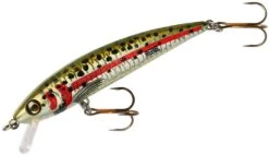 Rebel TD47 Tracdown Ghost Minnow 2 1/2 Inch Barbless Hard Minnow -Sport Fishing Shop TD47540