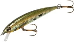Rebel TD47 Tracdown Ghost Minnow 2 1/2 Inch Barbless Hard Minnow -Sport Fishing Shop TD47542