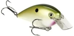 Strike King KVD Magnum Square Bill 8.0 Silent Crankbaits -Sport Fishing Shop TN Shad cc806651 e52b 468e b99b 0c3f452e40c5