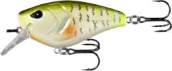 13 Fishing Warthog Squarebill Crankbait -Sport Fishing Shop W60 4 08 c967850e 564a 4847 9628 d7d32505e697