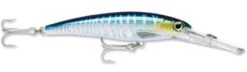 Rapala X-Rap Magnum 40 Big Game Slash Bait 39 Rapala X-Rap Magnum 40 Big Game Slash Bait -Sport Fishing Shop Wahoo UV 2c4c9f3b 81da 4158 a671 69dfaa66e472