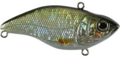 SPRO Aruku Shad Jr. Lipless Crankbait -Sport Fishing Shop Wild Shiner 8103e372 3ba3 4bb4 bfe2 10f4f96473ff