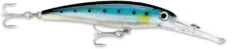 Rapala X-Rap Magnum 30 Big Game Slash Bait -Sport Fishing Shop blue sardine ded764cc fc66 4a26 9f7f 27c41a1afa23