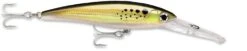 Rapala X-Rap Magnum 40 Big Game Slash Bait 23 Rapala X-Rap Magnum 40 Big Game Slash Bait -Sport Fishing Shop bunker 628d1cb7 16e9 4812 9d82 e4fb9334c5e2