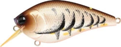 Lucky Craft LC 2.5 Shallow Squarebill Crankbait -Sport Fishing Shop cameleon brown craw