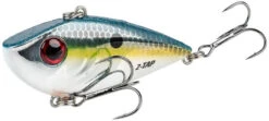 Strike King Red Eyed Shad Tungsten 2 Tap 3/4 Oz. Lipless Crankbait -Sport Fishing Shop chrome sexy shad 057a5561 d238 4f8f 861d 81862a86f08a