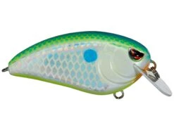 SPRO John Crews Fat John 60 Shallow Crankbait -Sport Fishing Shop citrus shad