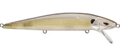 SPRO Mike McClelland McStick 110 Suspending Jerkbait -Sport Fishing Shop clear chartreuse 9b13547d e0ba 449c 8e4b 5fb47ce3ee79