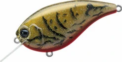 Evergreen International Flat Force 4 Flat-Sided Shallow Diving Crankbait 28 Evergreen International Flat Force 4 Flat-Sided Shallow Diving Crankbait -Sport Fishing Shop ever green ff 216 live crawdad