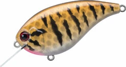 Evergreen International Flat Force 4 Flat-Sided Shallow Diving Crankbait 33 Evergreen International Flat Force 4 Flat-Sided Shallow Diving Crankbait -Sport Fishing Shop ever green ff 392 smallmouth bass