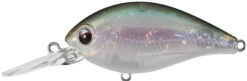 Evergreen International CR-6 Medium Diving Crankbait -Sport Fishing Shop evergreen CR 10 440 ghost wakasagi