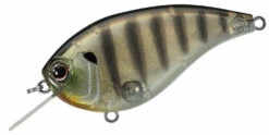 Evergreen International Flat Force 4 Flat-Sided Shallow Diving Crankbait 19 Evergreen International Flat Force 4 Flat-Sided Shallow Diving Crankbait -Sport Fishing Shop evergreen ff4 246 crankbait baby ghost gill