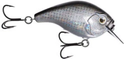 13 Fishing Scamp 1.5/2.5 Squarebill Crankbait -Sport Fishing Shop flipDisco shad