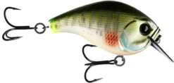 13 Fishing Scamp 1.5/2.5 Squarebill Crankbait -Sport Fishing Shop flipDream Gill